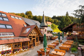 Отель Hotel Spinnerhof  Засбахвальден